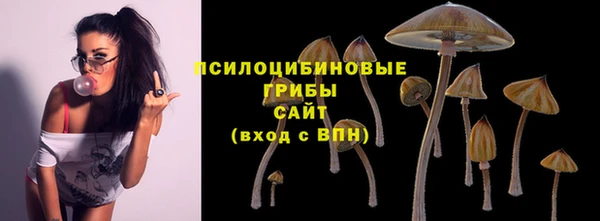 ПСИЛОЦИБИНОВЫЕ ГРИБЫ Магас