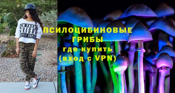 дурь Майский