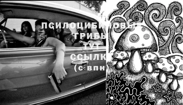 шишки Вязники