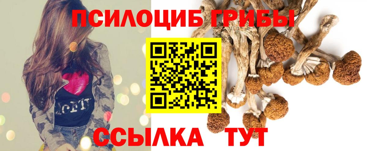 Галлюциногенные грибы Cubensis  Вход с VPN  Галлюциногенные грибы ЛСД  Тобольск 