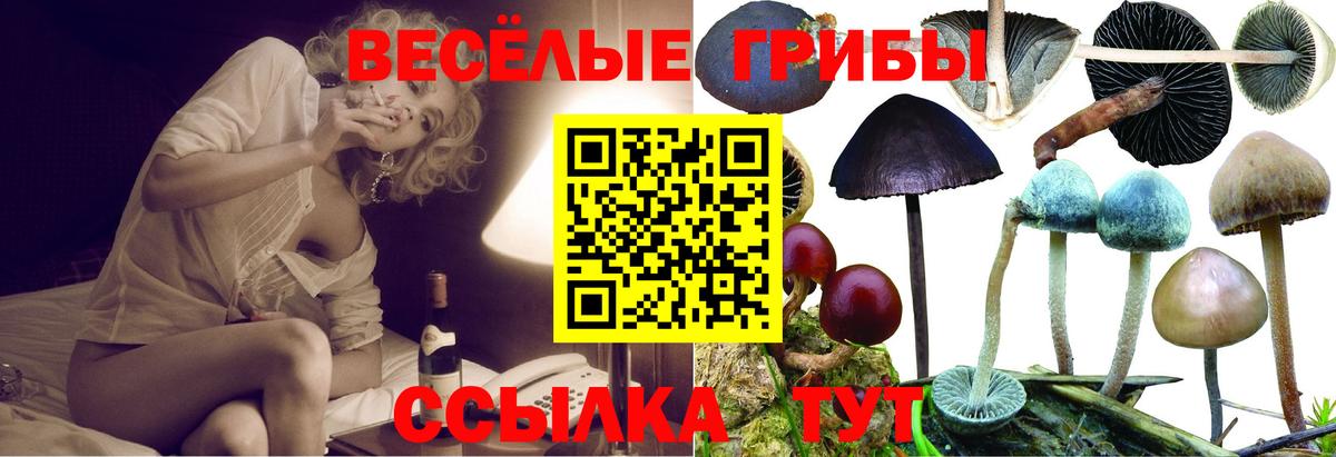 Галлюциногенные грибы GOLDEN TEACHER Тобольск